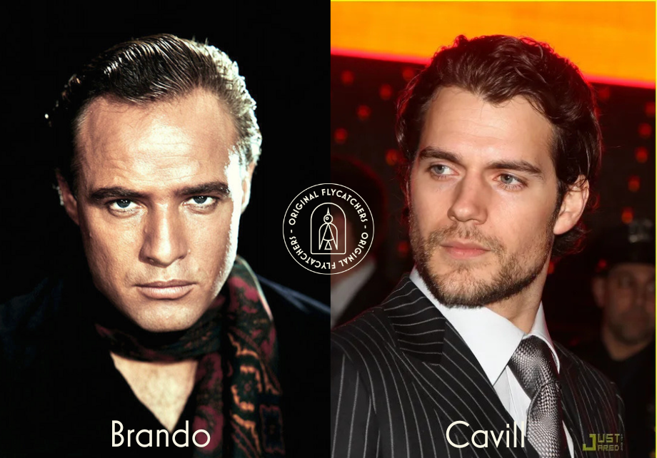 Brando-cavill