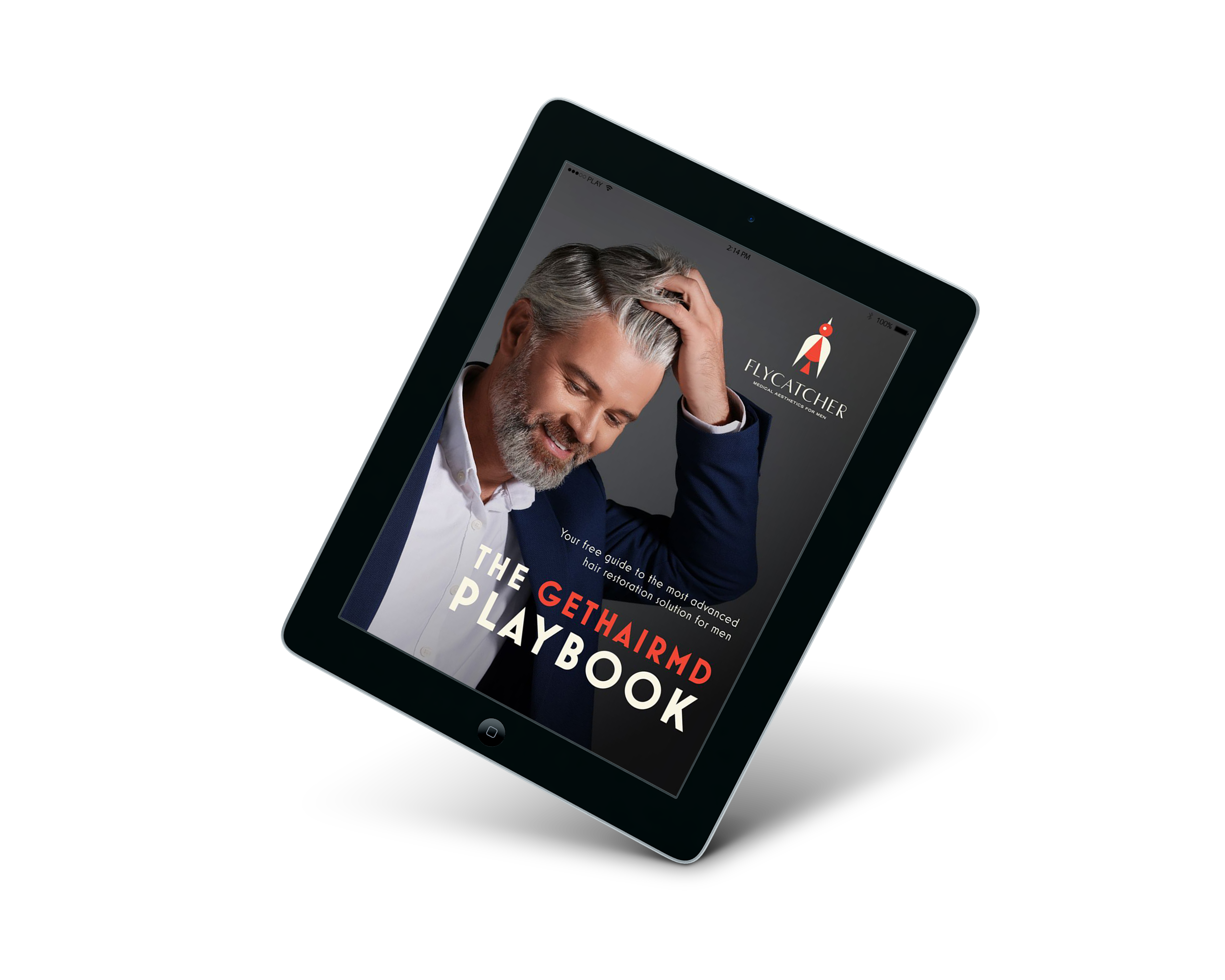 FlycatcherPlaybookIPad (1)